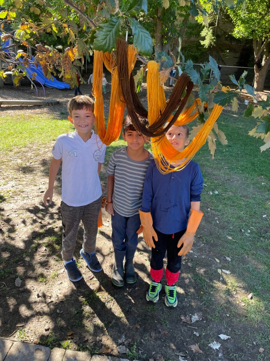Three Da Vinci Waldorf School Third Graders Stand Beneath Skeins Of Golden Yellow, Orange, And Brown Naturally Dyed Wool Yarn Hanging From A Tree.
